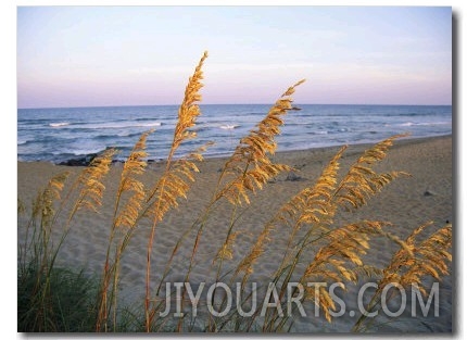 Beach Scene with Sea Oats