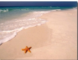 Gulf Island National Seashore, Santa Rosa Island, Florida