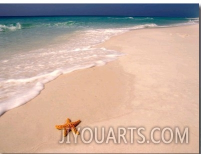 Gulf Island National Seashore, Santa Rosa Island, Florida