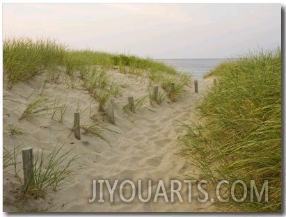 Path at Head of the Meadow Beach, Cape Cod National Seashore, Massachusetts, USA