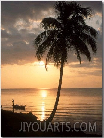 Sunrise with Man in Boat and Palm Tree, Belize