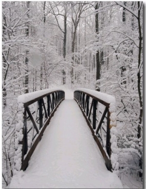A View of a Snow Covered Bridge in the Woods
