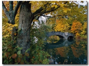 Autumnal View of a Stone Bridge