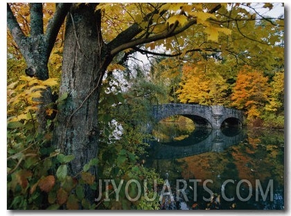 Autumnal View of a Stone Bridge