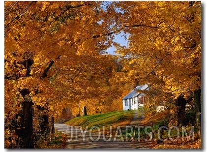 Country Road in Autumn, USA
