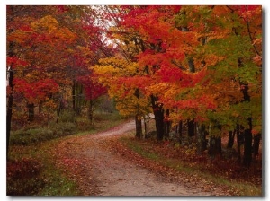 Country Road in the Fall, Vermont, USA