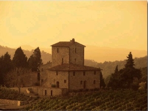 Farms and Vines, Tuscany, Italy