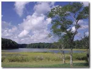 Indian Field Creek, on Colonial Highway, Near Williamsburg, Virginia, USA