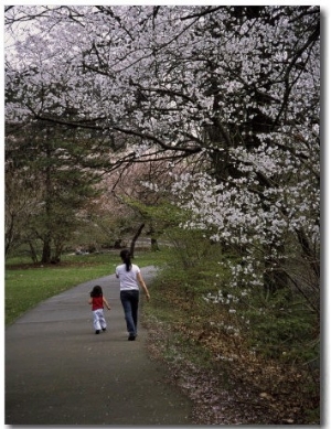 Mother and Child Walking Through Park