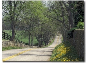 Old Iron Works Road, Lexington, Kentucky, USA