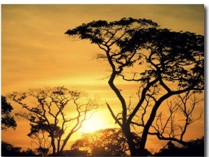 Botswana, Kalahari Desert, Sunset