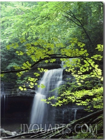 A Cascade Falls from a Rock Formation