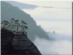 Early Morning Fog Rises over the Elbe River in Elbsandstein Region