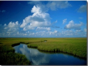 Marsh Canal in Oyster Bayou