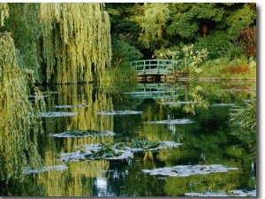 Subtle Light and Shade Reveal Impressionist Painter Claude Monets Self Designed Gardens at Giverny