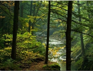 Texas Falls, Vermont, USA