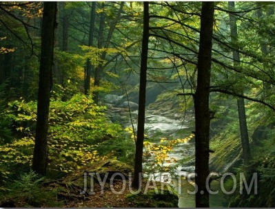 Texas Falls, Vermont, USA