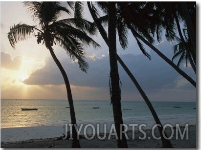 Fishing Boats Anchored off a Beach in the Fishing Village of Bwejuu