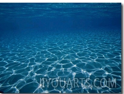 Sunlight Reflects on the Sea Floor Through Crystal Clear Blue Water