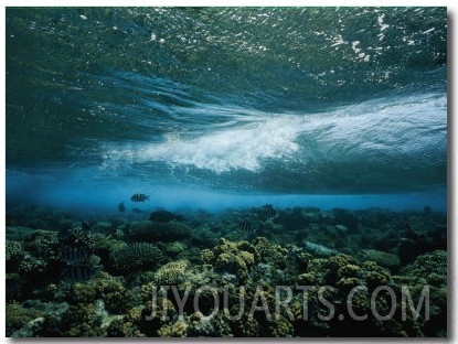 Underwater View of a Wave Breaking over a Reef