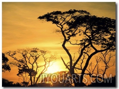 Botswana, Kalahari Desert, Sunset