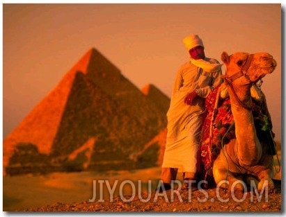 Camel and Driver Resting near the Great Pyramids, Egypt