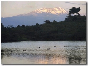 Mount Kilimanjaro Rises above One of Tanzanias Momela Lakes