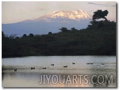 Mount Kilimanjaro Rises above One of Tanzanias Momela Lakes
