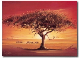 Namib