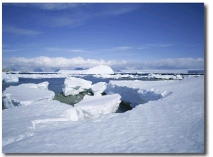 Coastal Landscape, Antarctic Peninsula, Antarctica, Polar Regions