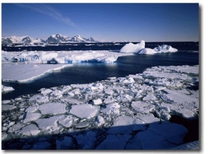 Coastal Scenery, Antarctic Peninsula, Antarctica, Polar Regions