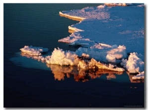 Free Floating Pieces of Antarctic Sea Ice, Antarctica