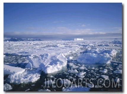 Sea Ice and Iceberg, Antarctica, Polar Regions