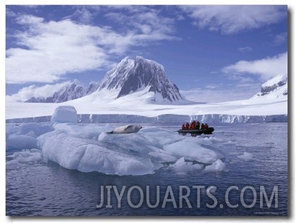 Tourists in Rigid Inflatable Boat Approach a Seal Lying on the Ice, Antarctica