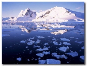 West Coast, Antarctic Peninsula, Antarctica, Polar Regions