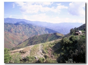 Terraces on Slopes of Mountain Interior at 1800M Altitude, Bois d