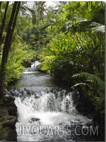 Tabacon Hot Springs, Volcanic Hot Springs Fed from the Arenal Volcano, Arenal, Costa Rica