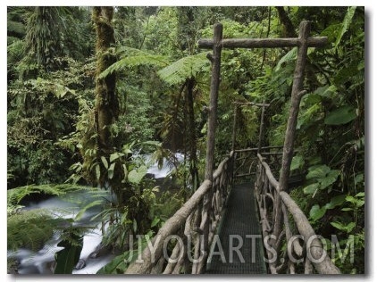 Trail in Cloud Forest, La Paz Waterfall Gardens, Central Valley, Costa Rica