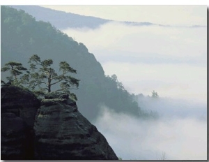 Early Morning Fog Rises over the Elbe River in Elbsandstein Region