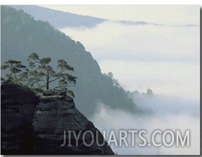 Early Morning Fog Rises over the Elbe River in Elbsandstein Region