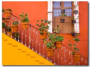 Colorful Stairs and House with Potted Plants, Guanajuato, Mexico