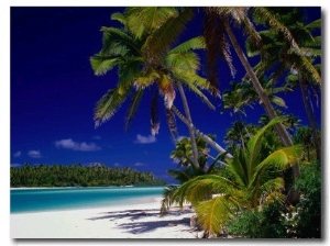 Beach with Palm Trees on Island in Aitutaki Lagoon,Aitutaki,Southern Group, Cook Islands