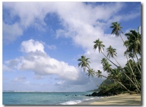 Palm Trees and Sea, Lalomanu Beach, Upolu Island, Western Samoa