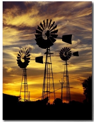 Windmills at Sunset in Penong, Australia