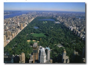 Aerial View of Central Park, NYC