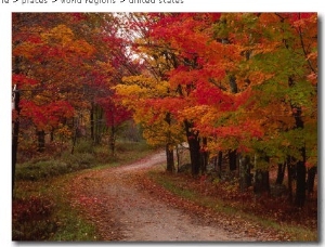 Country Road in the Fall, Vermont, USA