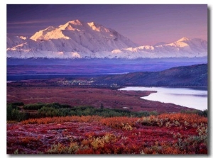 Denali National Park near Wonder Lake, Alaska, USA