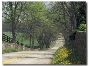 Old Iron Works Road, Lexington, Kentucky, USA