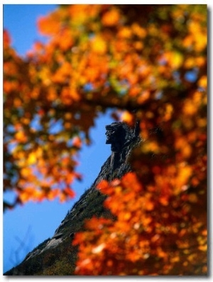 Old Man of the Mt. and Fall Foliage, NH