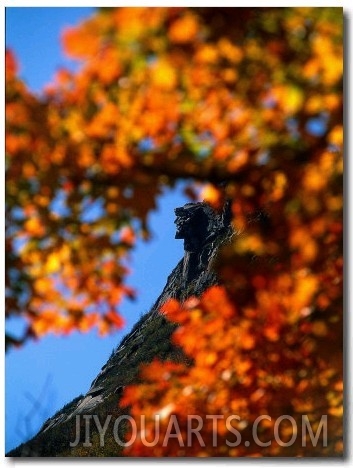 Old Man of the Mt. and Fall Foliage, NH